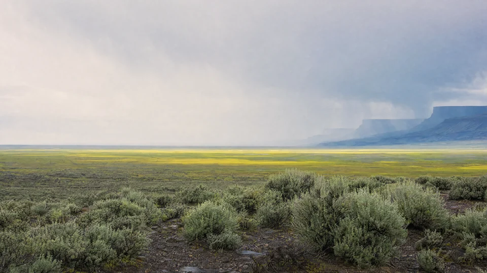 Sage, flood meadow, and volcanic weather form three quiet bands across an invented high-desert basin.